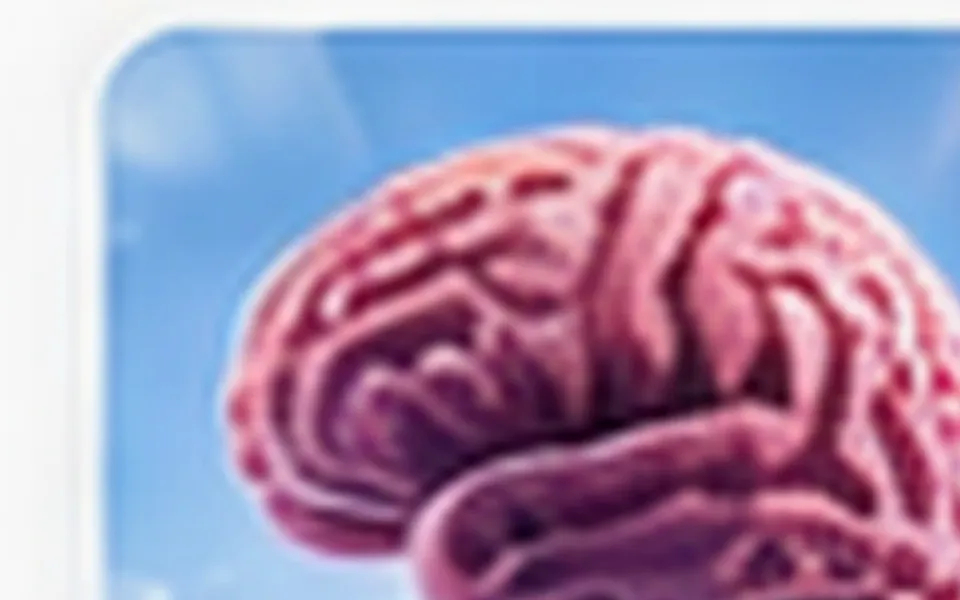 How Your Brain Works: A Simple Guide