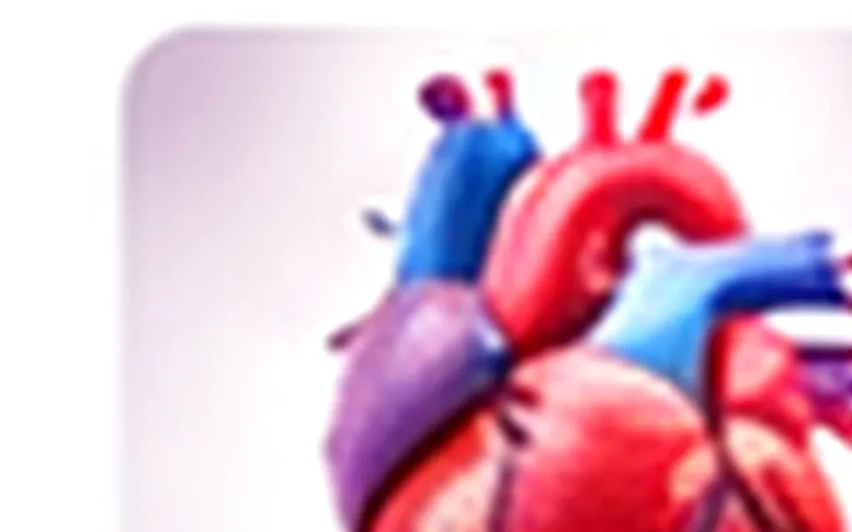 Cholesterol Explained: Good, Bad, and What to Do About It
