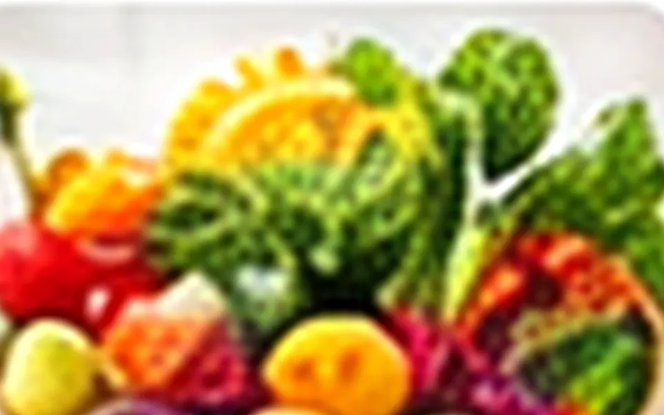Understanding Your Gut: A Simple Guide to Digestive Health