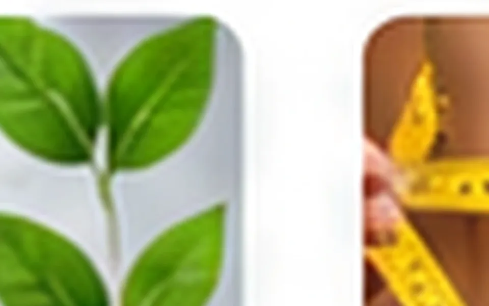 How to Create a Better Hydration Routine
