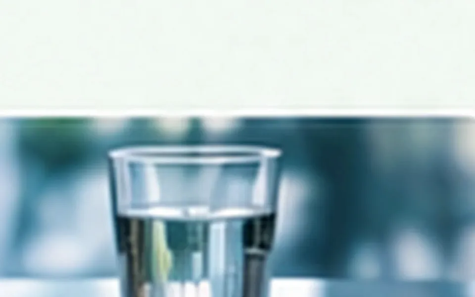 How to Support Kidney Health Daily