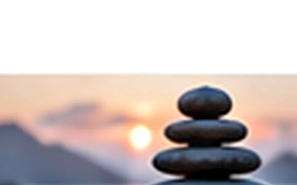 Cortisol and Chronic Stress: What’s Actually Happening