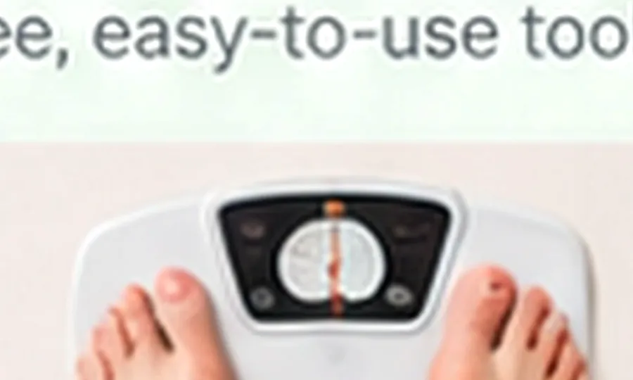 Bmi Calculator preview